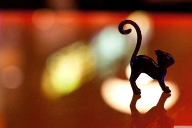 Happy Halloween! HD Desktop Wallpapers : High Definition ...