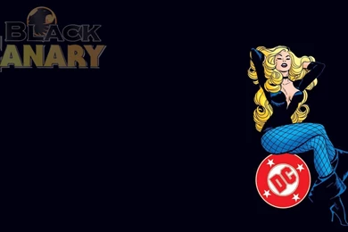 87 Black Canary HD Wallpapers