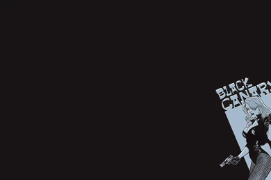 41 Black Canary HD Wallpapers