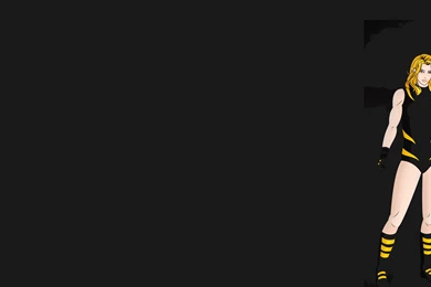 Black Canary Computer Wallpapers, Desktop Backgrounds