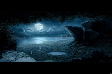 Fantasy Wallpapers Monsters Monster Fantasy Hd Wallpapers 1920x1080 ...