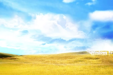 Cool HD Wallpapers: Windows Wallpapers Download