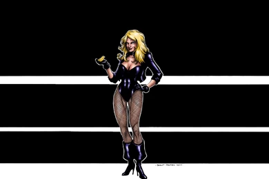 Black Canary Dc Comics Blondes Sexy Babes Women Females Wallpapers ...