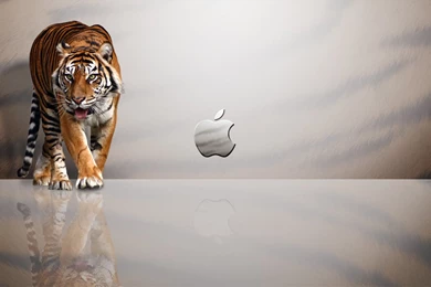 Macbook Air HD Wallpapers (10)