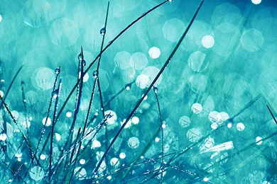 Wallpapers Macbook Desktop Hd B211