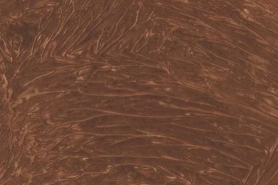 WALLPAPER Faux Textured Venetian Plaster By WallpaperYourWorld