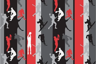 Free Shipping   Sports Theme Bedding And Window Treatments   100 ...