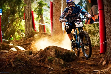 Wallpapers Mtb Downhill Mountain Biking Bike Speed Dust Wood Theme ...