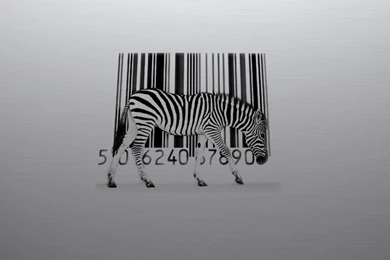 Zebra Barcode HD Wallpapers Wallpapers   (