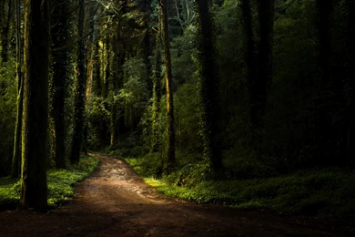 2015 10 08   Page 274