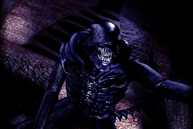 My Free Wallpapers   Movies Wallpapers : Alien Awaits