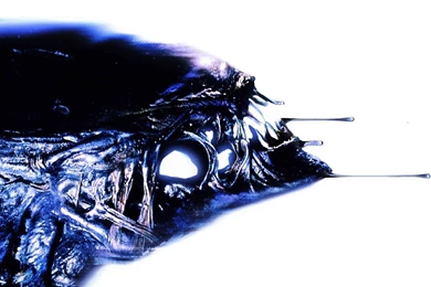 166 Alien HD Wallpapers