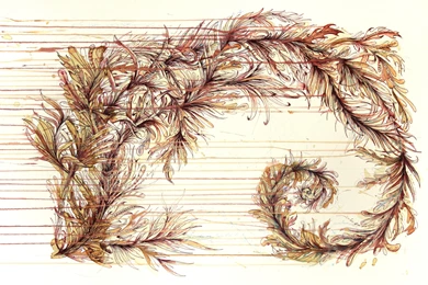 Download Wallpapers, Download Spiral Fibonacci 3840x2512 Wallpapers ...