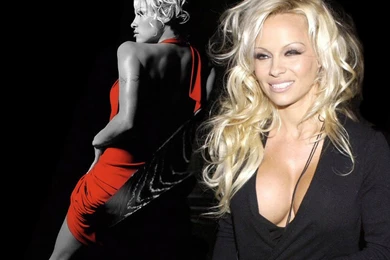 Pamela Anderson 13134   Pamela Anderson VIP Wallpapers