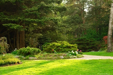 Simple Home Gardens   Wallpaper.