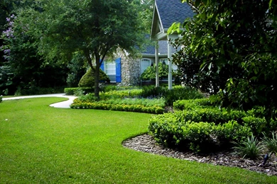 Backyard Garden   Wallpaper.