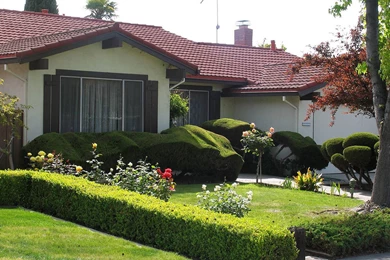 Better Homes Garden Design