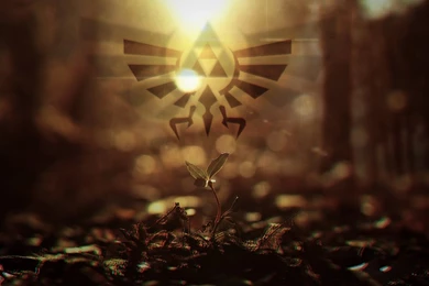 Browsing Wallpapers On DeviantArt