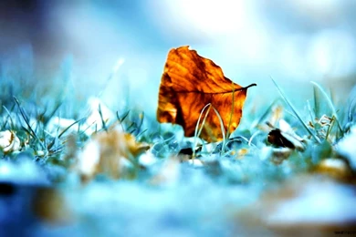 Unique Desktop Wallpapers Hd