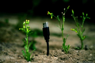 Wallpapers Usb Cable Grow Unique Wallpapers HD Desktop Mobile ...