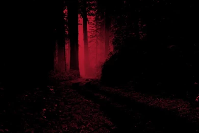 Sanctuary Of Anti Life... – Group At Last.fm