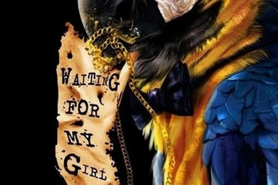 Amazing Animals Iphone 6 Wallpapers 96