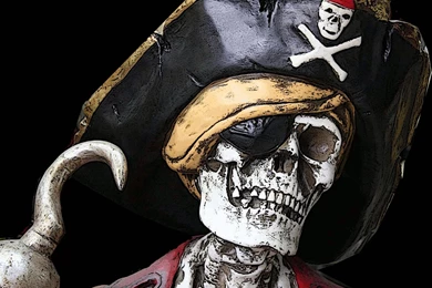 Skull Pirate   (