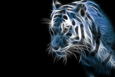 Download Free 180 Cool Backgrounds With Custom Designs   The ...