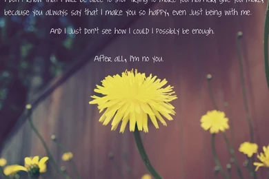 Cute Love Sayings Pictures   Wallpapers HD Fine