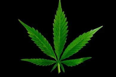 Weed Pot Leaf Backgrounds
