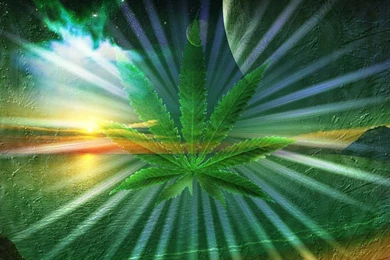 Wallpapers Dizzy Trippy Pot Leaf 1440x900