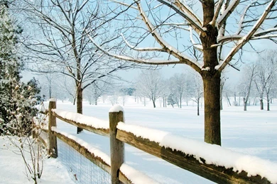 Winter Scenes Wallpapers 10 Backgrounds Wallruru