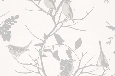 Silver / Grey / White   250626   Songbird   Birds Trees Branch ...