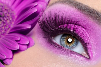 Butterfly Desktop Wallpapers