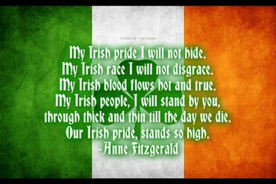 Irish Pride Quotes. QuotesGram