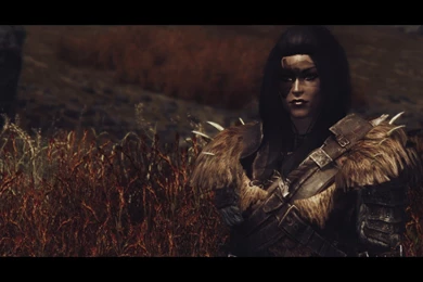 Skyrim Nexus   Mods And Community