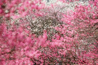 Free Wallpapers Download Collection (43+)