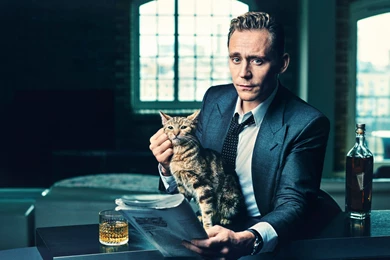 Tom Hiddleston Wallpaper,tom Hiddleston Wallpapers HD Wallpapers ...