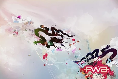 Chinese Dragon   FWA Inspired Design Wallpapers 1920*1200 17 ...