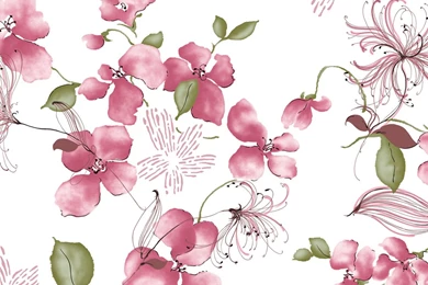 Flower Illustrations Design   Flower Patterns   Flower Backgrounds ...