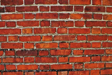 Top Brick Wallpapers Photo Wall Wallpapers