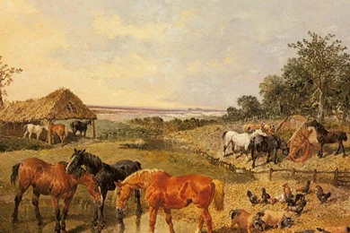 COUNTRY LIFE WALLPAPER   (