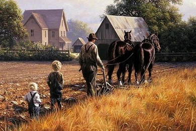 No John Deer Wallpapers   (