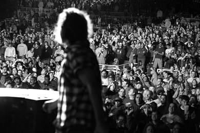 Trololo Blogg: Pearl Jam Wallpapers Desktop