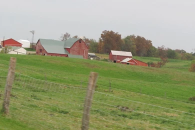 Country Life 1206330 Wallpapers   (