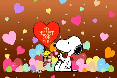 1602_w1920.jpg (1920×1200)