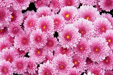 Underworld Hades Greek God Cartoon