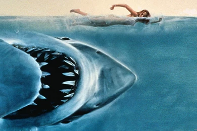 Wallpapers Movies Jaws Hd Movie Full P 1920x1080
