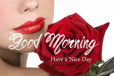 Good Morning Hd Wallpaper Images Wishes Download Free