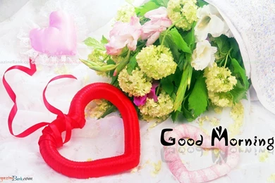Lovely Good Morning Wallpapers Download Images